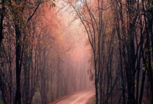 熊猫体育中国App-奥运爆冷夜！哈兰德单骑屠龙神级表现改写足球史