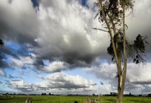 Panda Sports-NBA重磅对决：皇马迎战曼城，技术统计